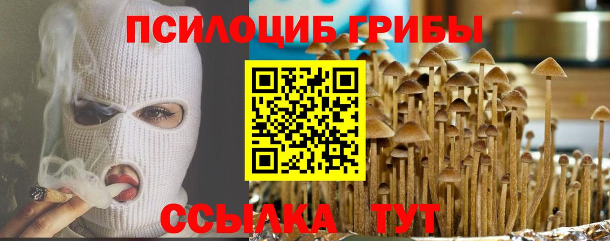 Галлюциногенные грибы Magic Shrooms Киров